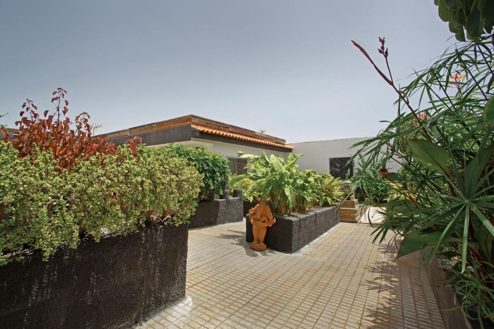 Apartamento Acogedor En La Laguna 拉拉古纳 外观 照片
